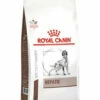 Royal Canin Hepatic Dog 1.5kg -Bayer Shop 03182550771719 90595.1690604740