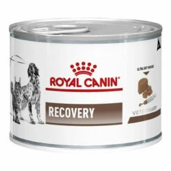 Royal Canin Recovery Canine/Feline 12 X 195g Tins