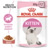 Royal Canin Kitten Gravy Sachets 85g X 12 2 Royal Canin Kitten Gravy Sachets 85g X 12 -Bayer Shop 09003579308745 96657.1690604739