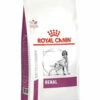 Royal Canin Renal Canine 2kg 2 Royal Canin Renal Canine 2kg -Bayer Shop 3182550710992 78562.1690604741