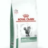 Royal Canin Diabetic Feline 1.5kg -Bayer Shop 3182550711166 21903.1690604737