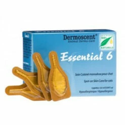 PAW Essential 6 For Cats 4's