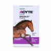 4CYTE Equine Epiitalis Forte Gel 250ml -Bayer Shop 4CYT2520E2520GEL 84747.1690604721