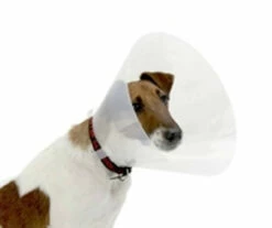 Buster Clic Collar 10cm