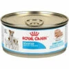 Royal Canin Puppy Starter Mousse Wet 12 X 195g -Bayer Shop 9003579002698 80719.1690604740