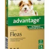 Bayer Advantage Dog Up To 4kg Green 4's -Bayer Shop 9310160657749 80929.1668538370
