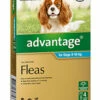 Bayer Advantage Dog 4-10kg Medium Aqua 4's -Bayer Shop 9310160657756 17531.1668538361