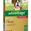 Bayer Advantage Dog 10-25kg Large Red 4's -Bayer Shop 9310160657770 34918.1668538356