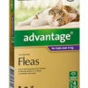 Bayer Advantage Cat Over 4kg Purple 4's -Bayer Shop 9310160657794 38953.1668538347