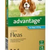 Bayer Advantage Dog 4-10kg Medium Aqua 6's -Bayer Shop 9310160805553 20863.1668538363