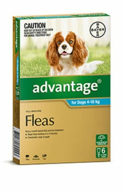 Bayer Advantage Dog 4-10kg Medium Aqua 6's