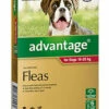 Bayer Advantage Dog 10-25kg Large Red 6's 1 Bayer Advantage Dog 10-25kg Large Red 6's -Bayer Shop 9310160805560 86135.1668538359