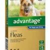 Bayer Advantage Dog Over 25kg Extra Large Blue 6's -Bayer Shop 9310160805584 05579.1668538368