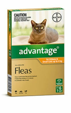 Bayer Advantage Cat Up To 4kg Orange 6's