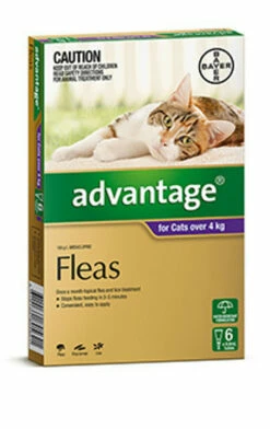 Bayer Advantage Cat Over 4kg Purple 6's