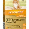 Bayer Advocate Up To 4kg For Kittens And Cats Orange 3's -Bayer Shop 9310160805805 63952.1668538455