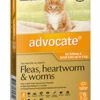 Bayer Advocate Up To 4kg For Kittens And Cats Orange 6's -Bayer Shop 9310160805829 14599.1668538458