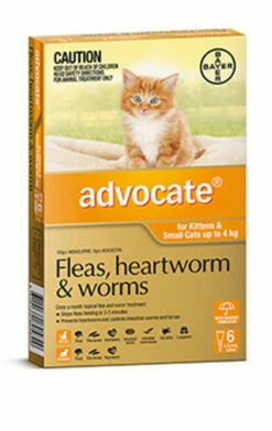 Bayer Advocate Up To 4kg For Kittens And Cats Orange 6's