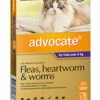 Bayer Advocate Over 4kg Cat Purple 6's -Bayer Shop 9310160805836 68367.1668538446