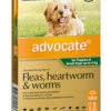 Bayer Advocate Up To 4kg Dog Green 3's -Bayer Shop 9310160805843 98268.1668538453