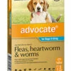 Bayer Advocate 4-10kg Medium Aqua 3's 2 Bayer Advocate 4-10kg Medium Aqua 3's -Bayer Shop 9310160805850 53116.1668538435