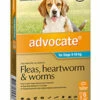 Bayer Advocate 4-10kg Medium Aqua 6's 2 Bayer Advocate 4-10kg Medium Aqua 6's -Bayer Shop 9310160805898 37534.1668538438