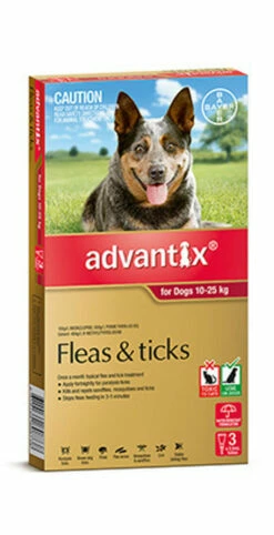 Bayer Advantix 10-25kg Large Red 3's
