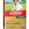 Bayer Advantix Up To 4kg Small Green 6's 1 Bayer Advantix Up To 4kg Small Green 6's -Bayer Shop 9310160808752 73414.1668538414