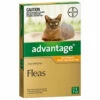 Bayer Advantage Up To 4kg Cat Orange (1 Pack) -Bayer Shop 9310160821720 85047.1668538382