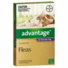Bayer Advantage Over 4kg Cat Purple (1 Pack) -Bayer Shop 9310160821737 78417.1668538379