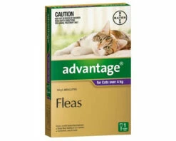 Bayer Advantage Over 4kg Cat Purple (1 Pack)