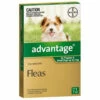 Bayer Advantage Up To 4kg Green (1 Pack) -Bayer Shop 9310160821744 70720.1668538384