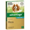 Bayer Advantage 4-10kg Medium Aqua (1 Pack) 1 Bayer Advantage 4-10kg Medium Aqua (1 Pack) -Bayer Shop 9310160821751 45594.1668538345