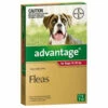 Bayer Advantage 10-25kg Large Red (1 Pack) -Bayer Shop 9310160821768 20263.1668538343