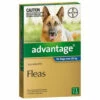Bayer Advantage Over 25kg Extra Large Blue (1 Pack) -Bayer Shop 9310160821775 83616.1668538377