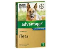 Bayer Advantage Over 25kg Extra Large Blue (1 Pack)