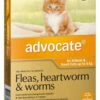 Bayer Advocate Up To 4kg Kittens And Cats Orange (1 Pack) 2 Bayer Advocate Up To 4kg Kittens And Cats Orange (1 Pack) -Bayer Shop 9310160821829 58917.1668538461