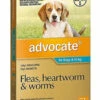 Bayer Advocate 4-10kg Medium Aqua (1 Pack) -Bayer Shop 9310160821850 52860.1668538433