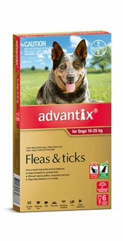 Bayer Advantix 10-25kg Large Red 6 Pack