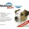 Nobivac Bb/Pi (Inactivated) (25 Pack) -Bayer Shop 9322839020976 72052.1668589006