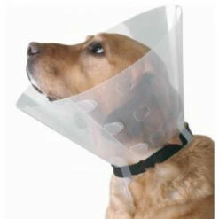 Buster Clic Collar 40 Cm