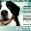 Capstar 57mg Tablets 6's 11-57 Kg Green -Bayer Shop 9326895000927 71698.1668541456