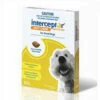 Interceptor Spectrum Tasty Chews For Small Dogs Green 3's -Bayer Shop 9326895003218 43638.1668588211