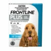 Frontline Plus Medium Blue (10kg - 20kg) 1.34ml 6's -Bayer Shop 9327073001705 66682.1668586886