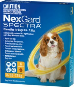NexGard Spectra For Dogs - 6 Pack -Bayer Shop 9327073006946 12045 84345.1685163757