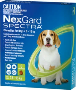 NexGard Spectra For Dogs - 6 Pack -Bayer Shop 9327073006953 74950 31800.1685163757