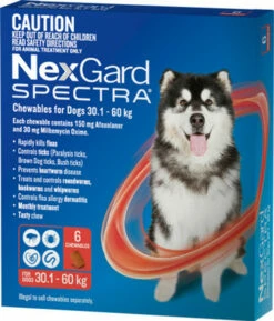 NexGard Spectra For Dogs - 6 Pack -Bayer Shop 9327073006977 54452 30744.1685163757