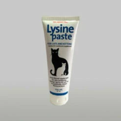 Lysine Paste 100ml