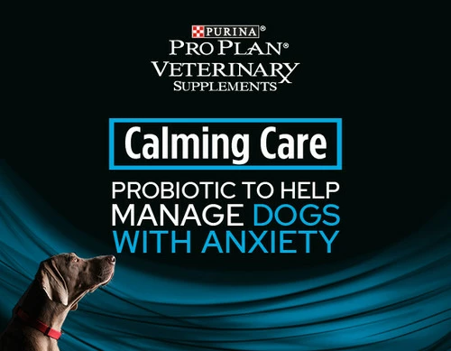 Purina Pro Plan Calming Care For Dogs (30 Sachets) 4 Purina Pro Plan Calming Care For Dogs (30 Sachets) - Image 2