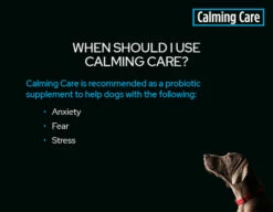 Purina Pro Plan Calming Care For Dogs (30 Sachets) 10 Purina Pro Plan Calming Care For Dogs (30 Sachets) -Bayer Shop PPVD Canine Banner 630x490 CalmingCare 3 07313.1690604737